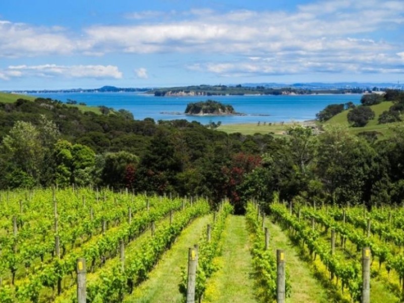 Waiheke Island – Food and Wine-Tasting